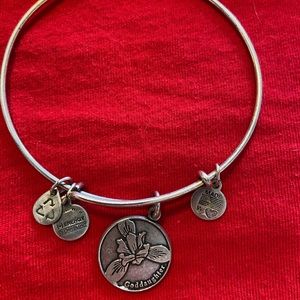 Alex and ani bracelet